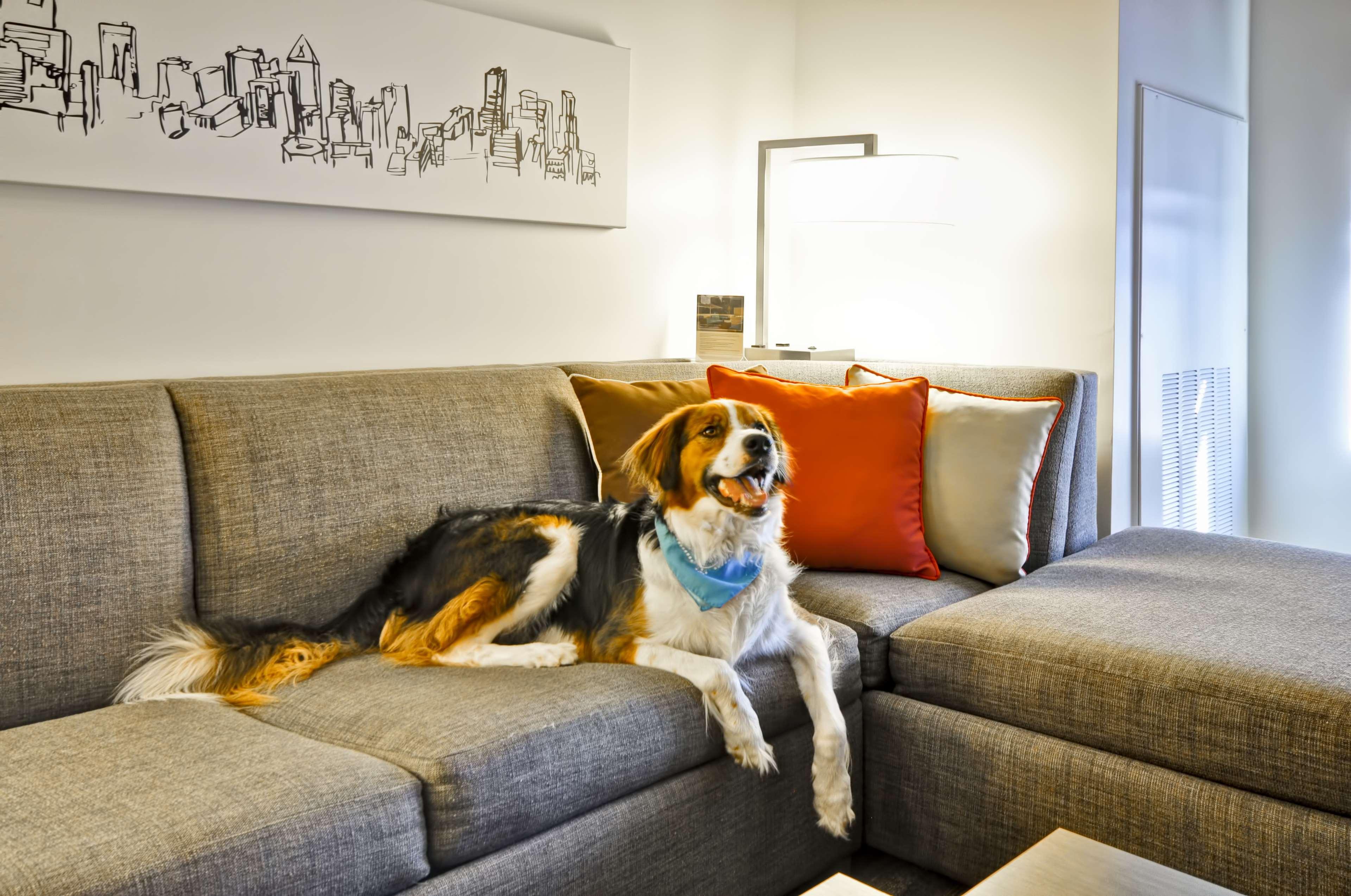 Hyatt House Atlanta Cobb Galleria Smyrna Esterno foto