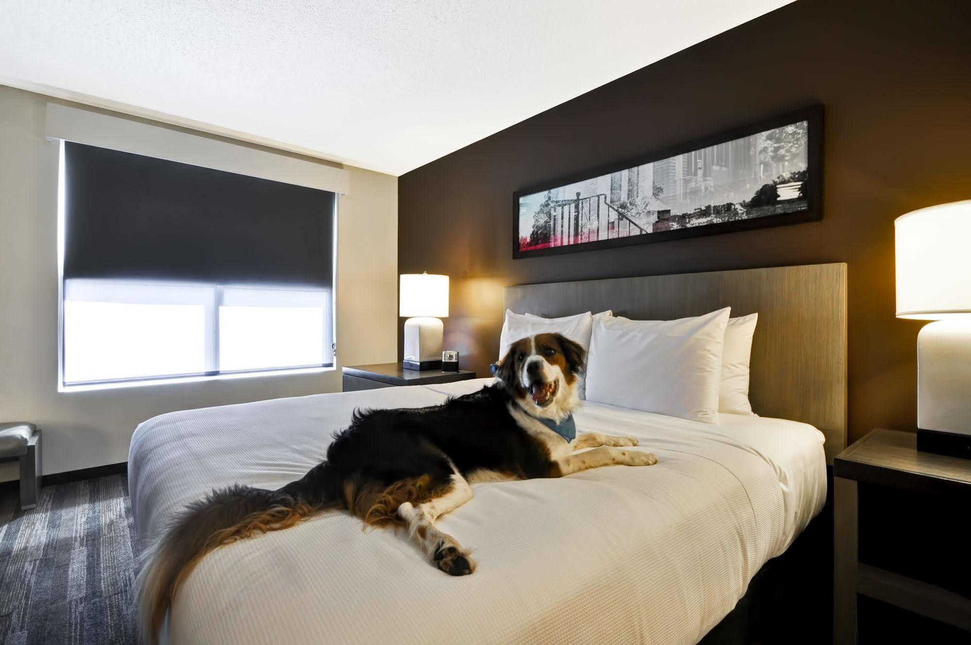 Hyatt House Atlanta Cobb Galleria Smyrna Esterno foto